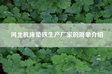 河北机床垫铁生产厂家的简单介绍