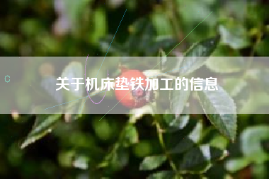 关于机床垫铁加工的信息